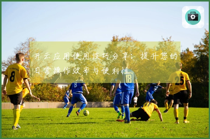 开云应用使用技巧分享：提升您的日常操作效率与便利性